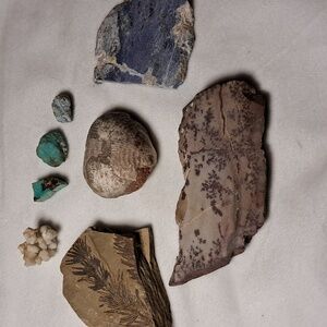 Fossils, Tree Jasper, Sodalite, Raw Turq nugs, Coral nug. Grouped.